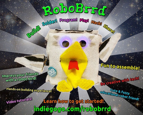 RoboBrrd